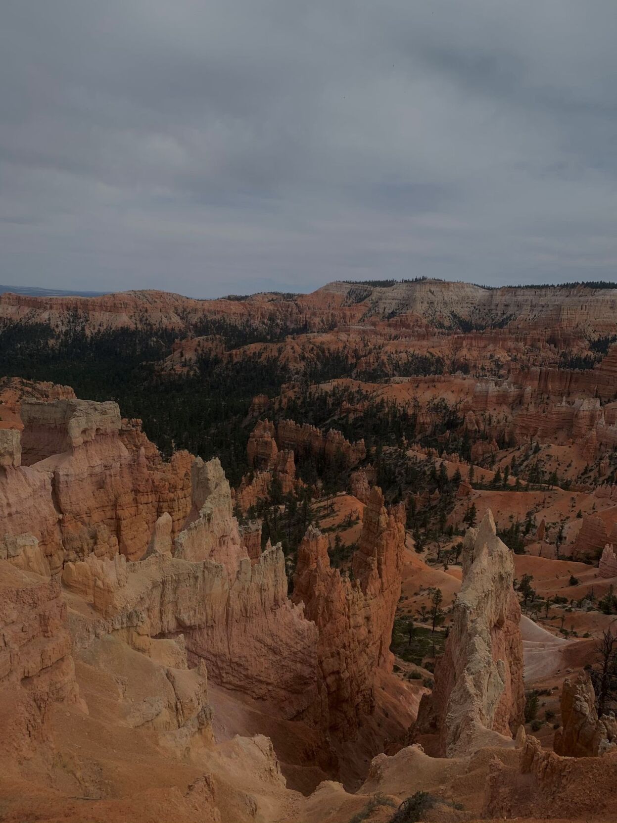 out west landscape